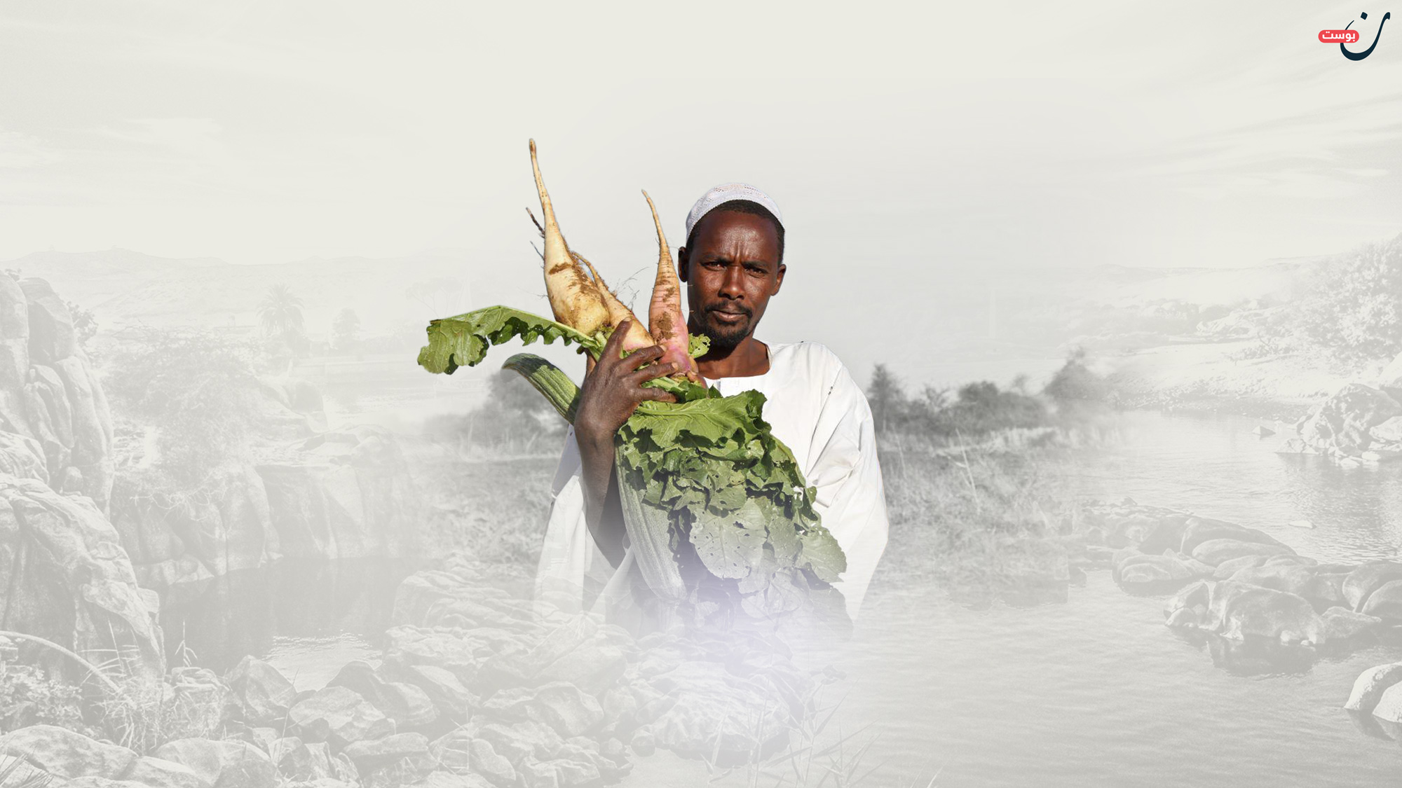 الزراعة في السودان