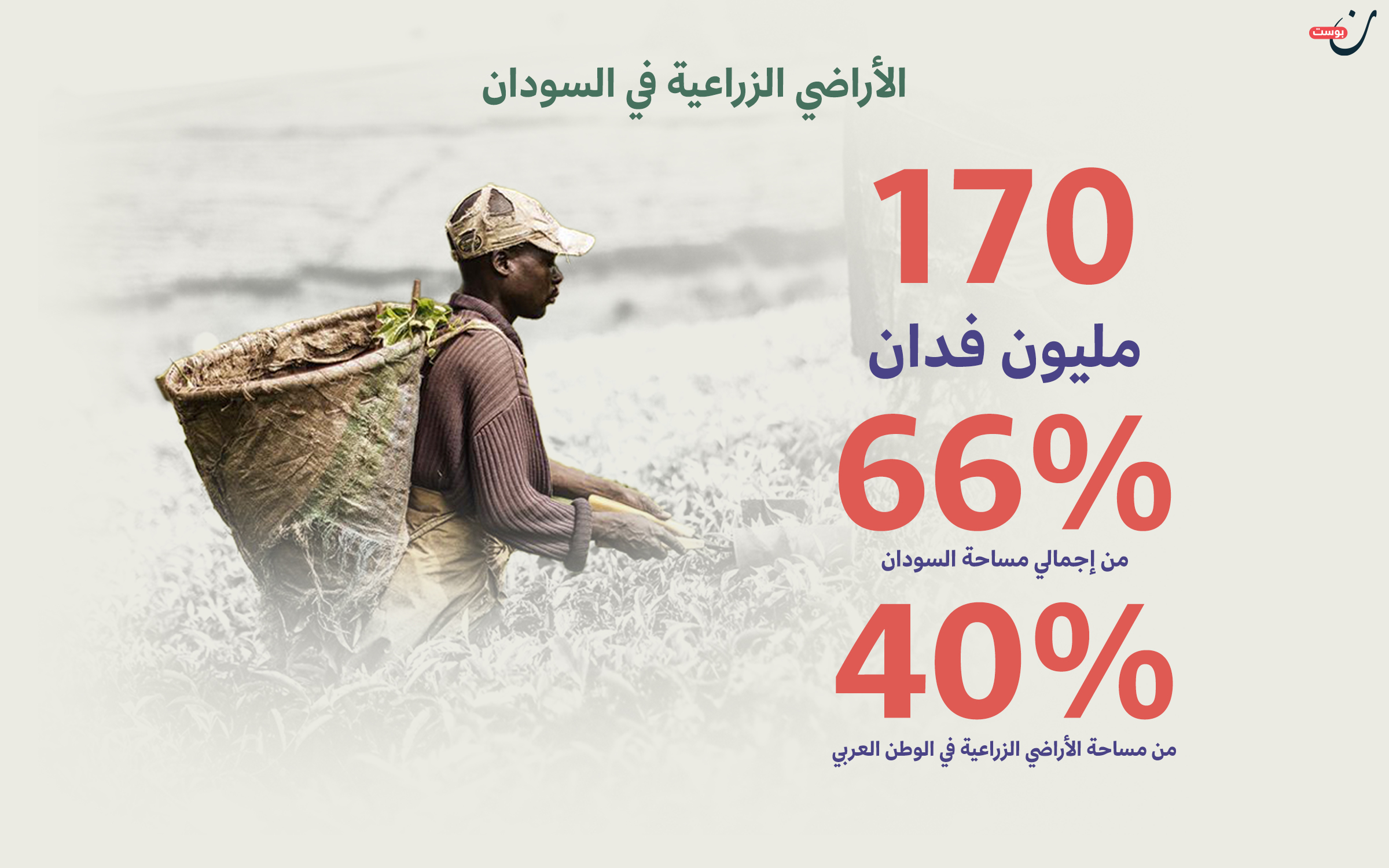 الزراعة في السودان