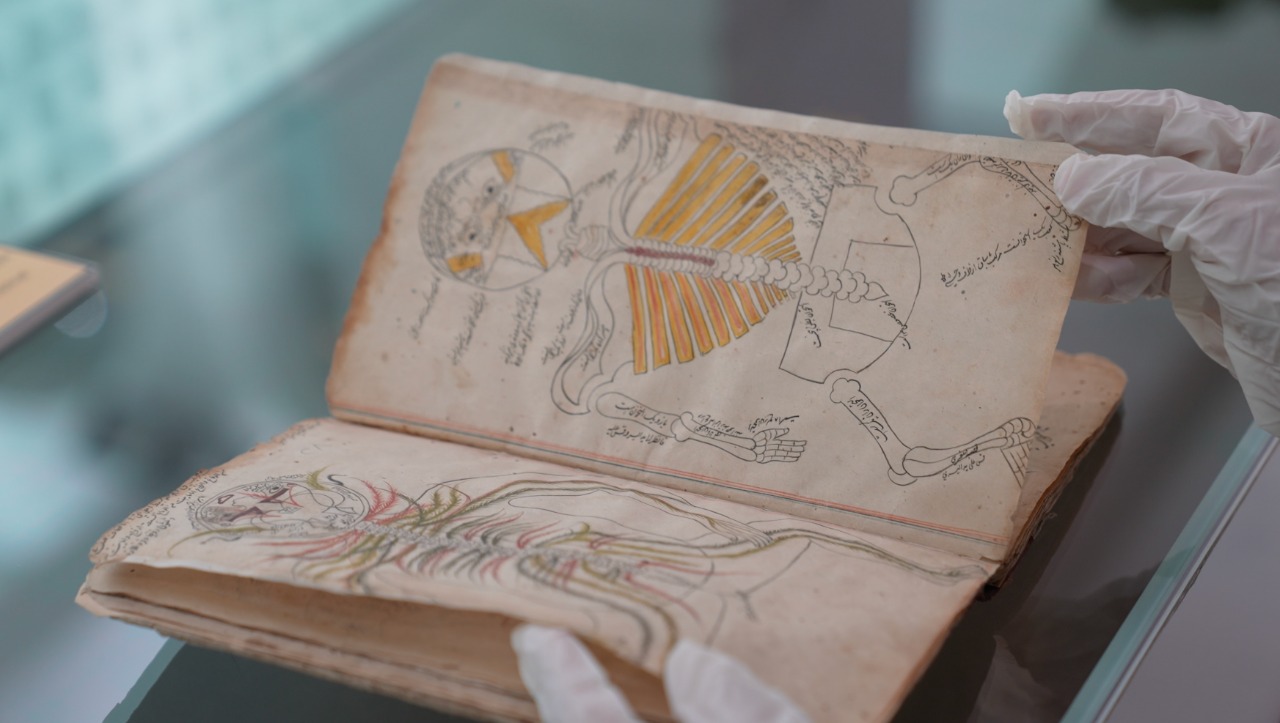 مكتبة الملك عبدالعزيز العامة تقتني أنفس المخطوطات الطبية الإسلامية في علم التشريح