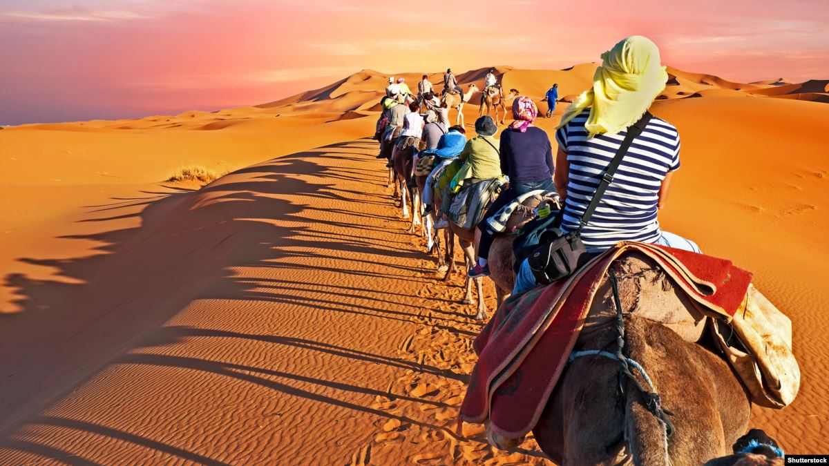 ركوب الجمال في صحراء المغرب