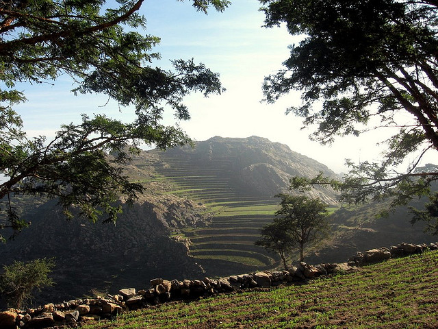 المدرجات الجبلية في اليمن، لم تكن من نتاج الطبيعة بل تقنية مقصودة من السبئيين لمساعدتهم على زراعة المرتفعات