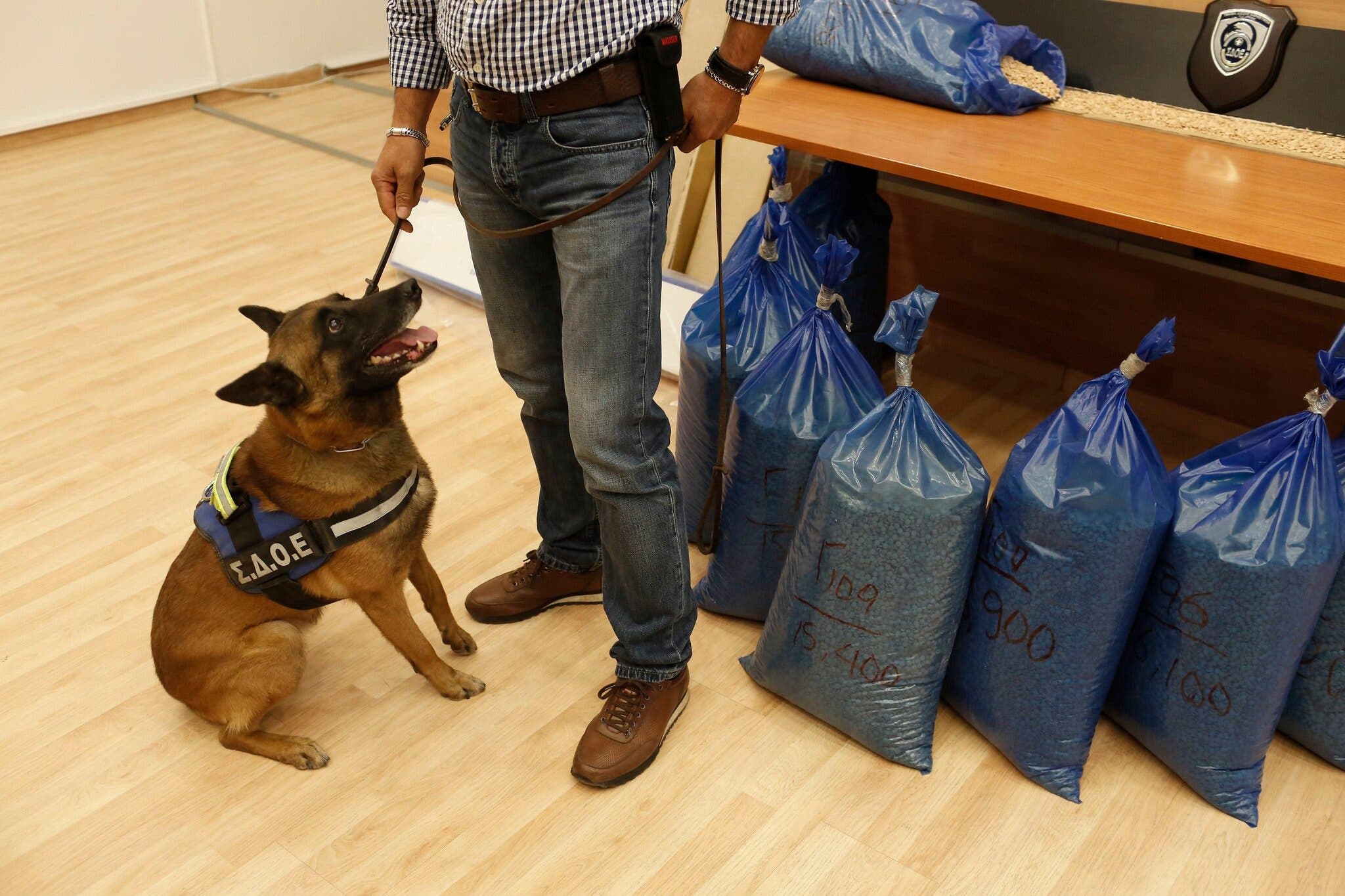 كلب مع مدربه إلى جانب أقراص كبتاغون في مؤتمر صحفي في أثينا بعد عملية بيرايوس في سنة 2019.