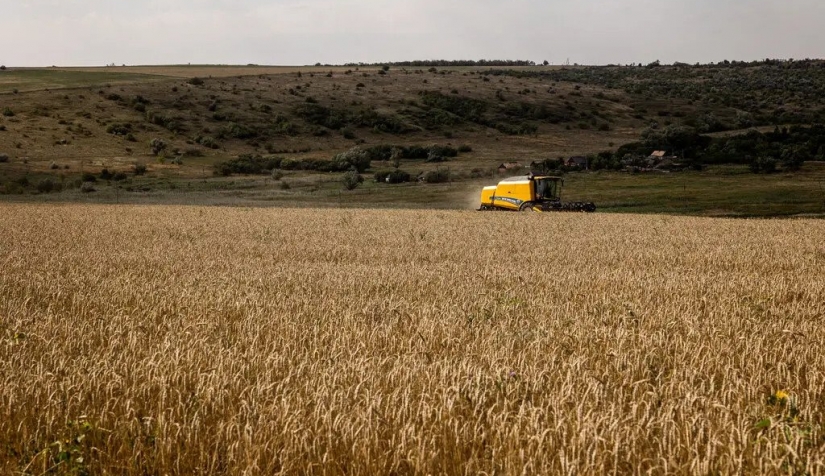تصدر أوكرانيا الآن نحو 3.5 مليون طن متري من الحبوب كل شهر، ما يعني انخفاضًا بمقدار 5 إلى 7 ملايين طن متري عما قبل الحرب