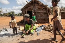 سيدة تجهز الصبار لإطعام أسرتها في المجاعة التي ضربت مدغشقر.