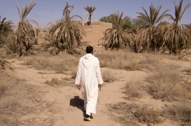 تراجع القطاع الفلاحي في المغرب بسبب الجفاف