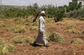 أحمد الأمين يتفقد مزرعته المتضررة في جبل الزاوية جنوب محافظة إدلب
