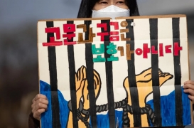 احتجاج على انتهاك حقوق الإنسان في ملاجئ الأجانب في سول بكوريا الجنوبية 2021