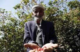 ما زال المزارعون في اليمن يستخدمون طرقًا تعود إلى عدة قرون