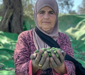 تعمل عائشة خضير في مزرعة عائلتها لأشجار الزيتون في قرية بيتا قرب نابلس