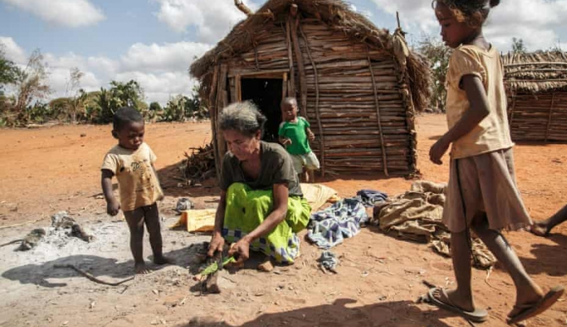 سيدة تجهز الصبار لإطعام أسرتها في المجاعة التي ضربت مدغشقر.