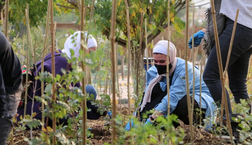 زراعة الشتلات كجزء من مشروع "طيّون" في الأردن.