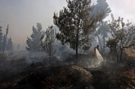 رجل إطفاء يطفئ حريق الغابة بالقرب من قرية أبو غوش ذات الأغلبية الفلسطينية
