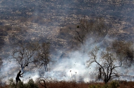 فلسطيني يقاوم النيران في بستان زيتون أشعله المستوطنون الإسرائيليون عام 2019