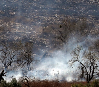 فلسطيني يقاوم النيران في بستان زيتون أشعله المستوطنون الإسرائيليون عام 2019