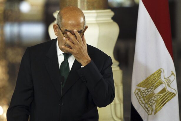 رفقاء الانقلاب ينقلبون على البرادعي‎