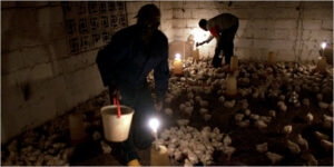 أربعة مصادر للطاقة في إفريقيا لا تعرف عنها شيئا