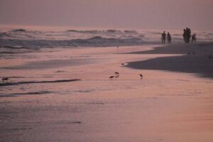 أيام في صلالة (2)