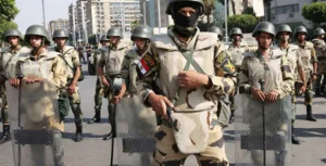 ربيع 2014 هو ربيع الثورة المضادة في مصر