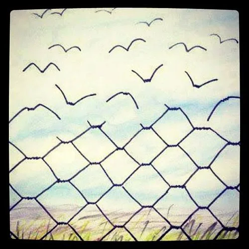 border-fence-becoming-birds