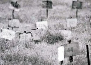 مقابر الأرقام .. الاحتلال حين يُعاقب الموتى