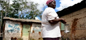 أعطني سمكة، ولا تعلمني كيف أصطاد