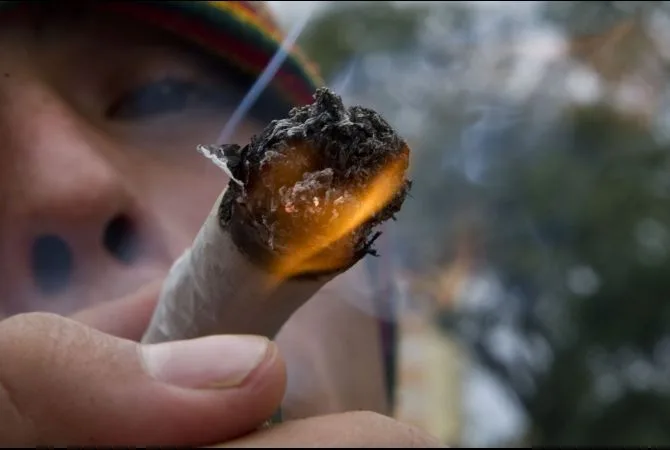 uruguay_marijuana_2012_06_21