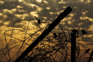 العراق وسوريا: هل التقسيم هو الحل؟