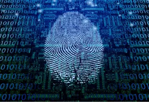 تحدٍ جديد للدولة القومية: حكومات افتراضية تقدم خدمات عامة