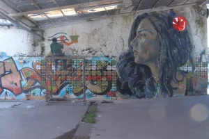 سناء سيف رمز للثورة المصرية