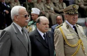 البدائل الجزائرية في السياسة