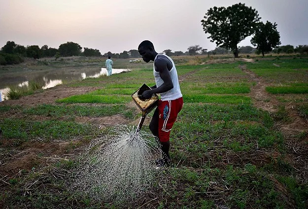 land-grab-africa