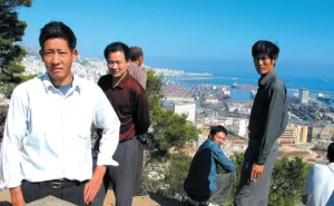 تعرّف على صينيي الجزائر