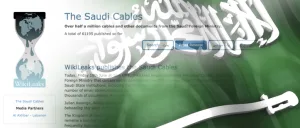 ويكيليكس تكشف دور السعودية في مصر بعد الثورة