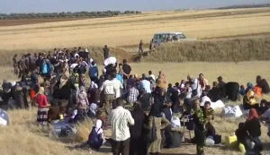 الوحشية ستطارد حتمًا الوداعة