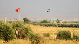 جيجك، تركيا، والرعونة الفكرية