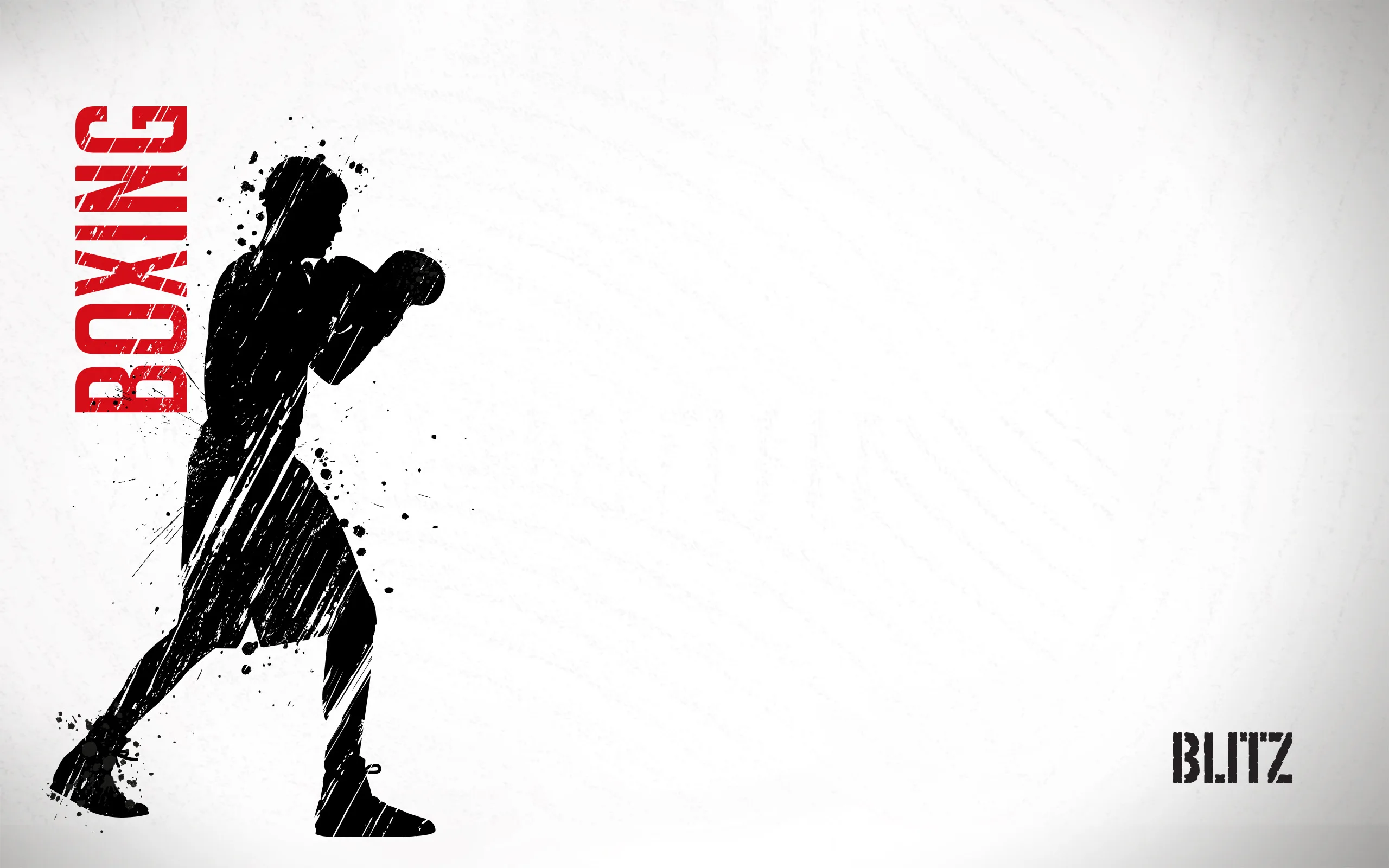 blitz-sport-boxing-wallpaper-2560-1600-2