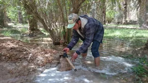 “علي”.. تونسي سكن الواحة و اتخذها مكانا للعمل والترفيه