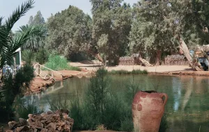 واحة “قصر غيلان”: جنة في صحراء تونس