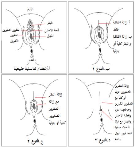 نون بوست