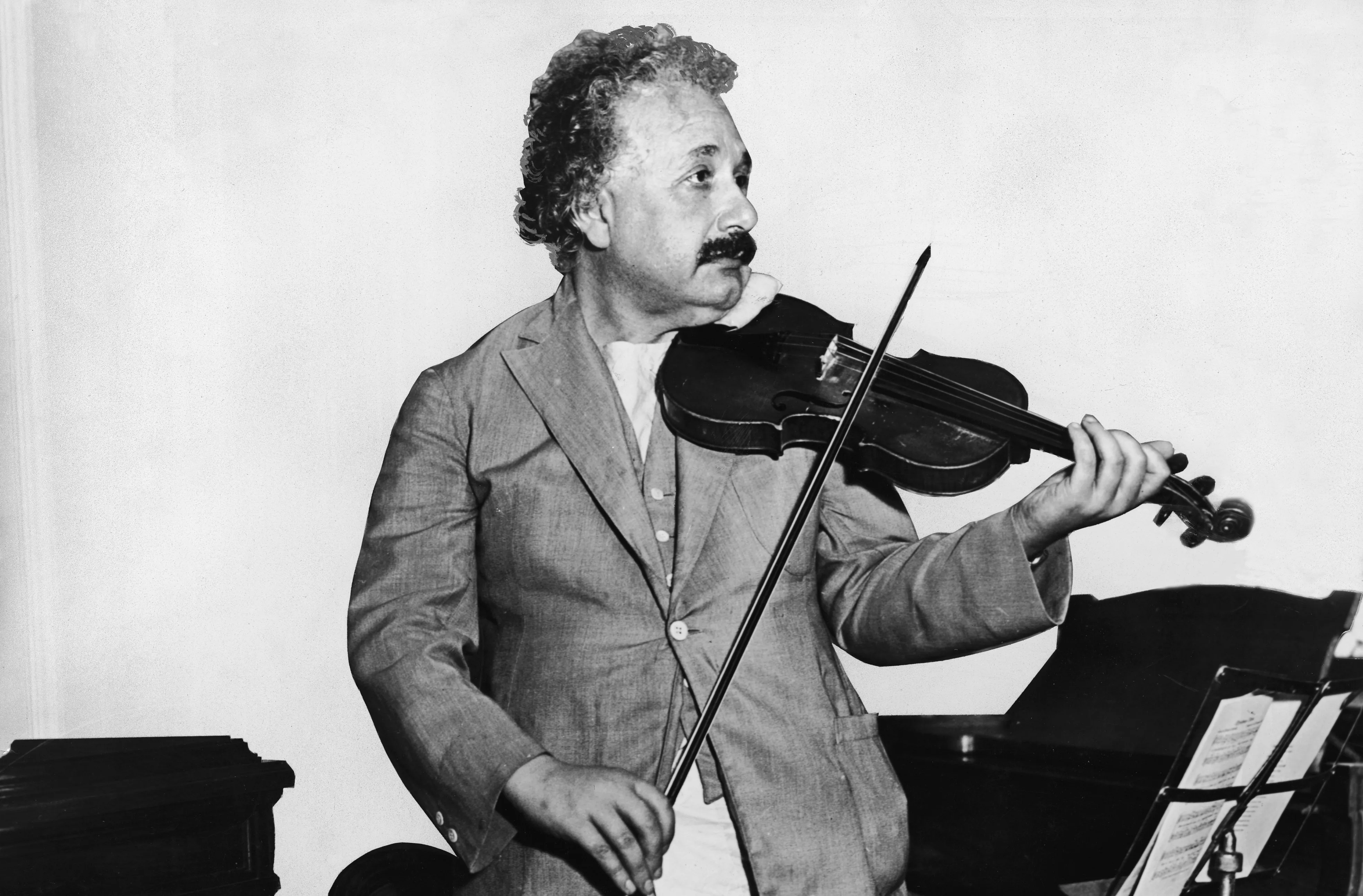 einstein_cropped