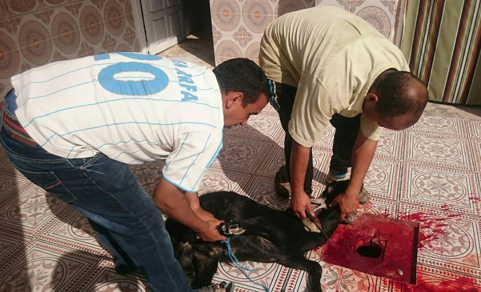 نون بوست