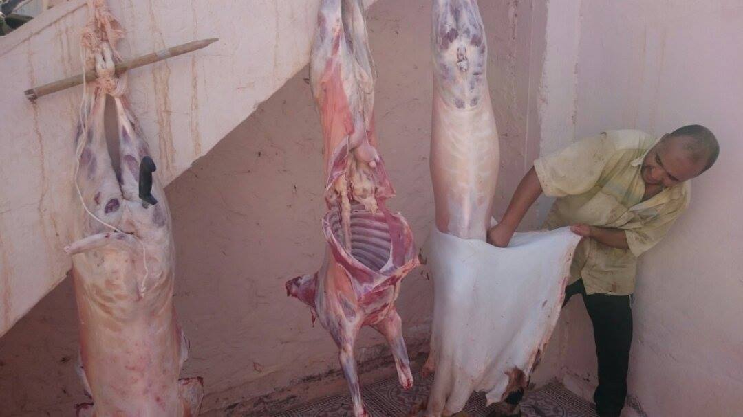 نون بوست