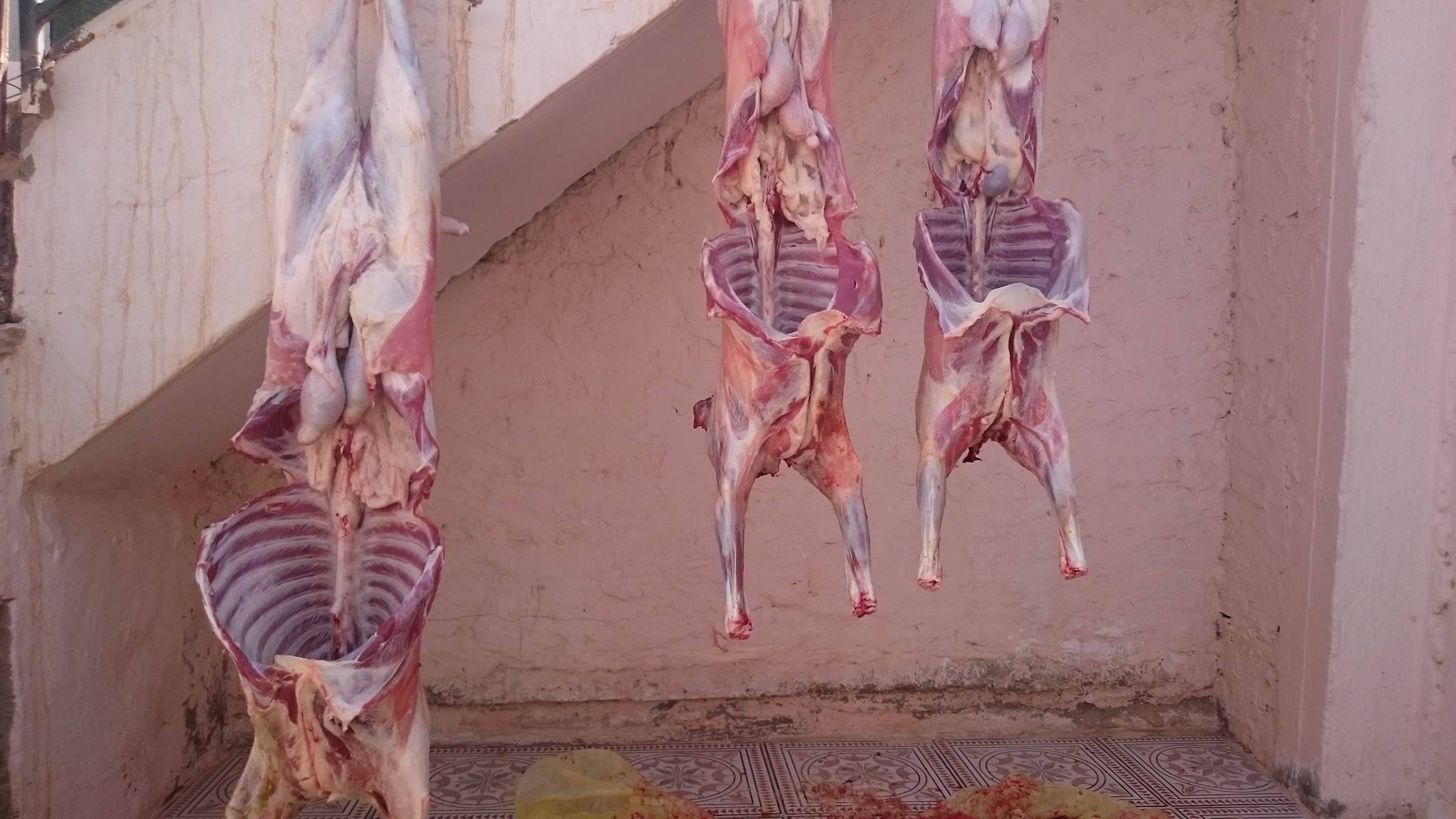 نون بوست