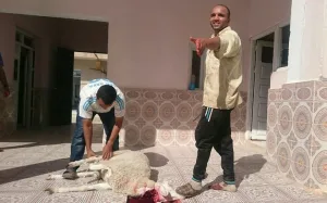 نون بوست يرافق جزارًا تونسيًا أثناء الذبح