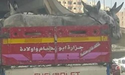 نون بوست