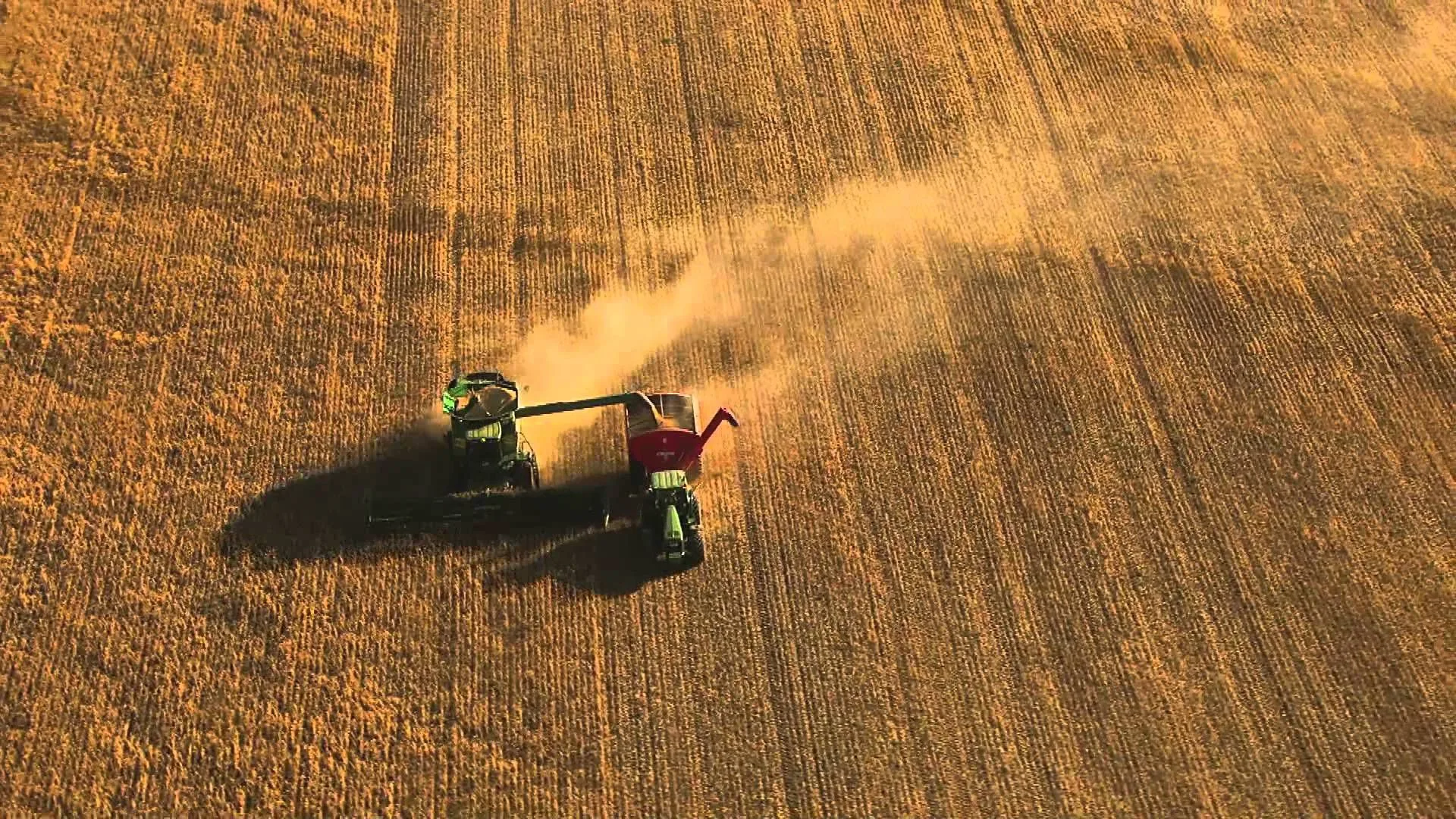 western-australia-wales-victoria-and-queensland-are-the-major-wheat-producing-region-of-the-country