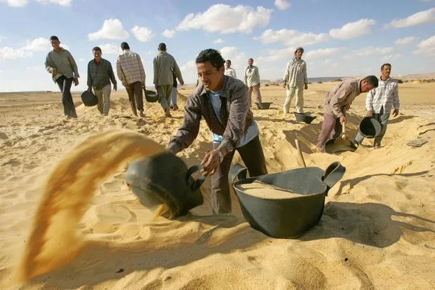 egyptianantiquitiesworkers