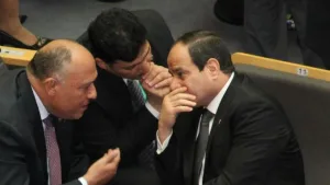 “التسريبات” ومصر ما بعد الانقلاب