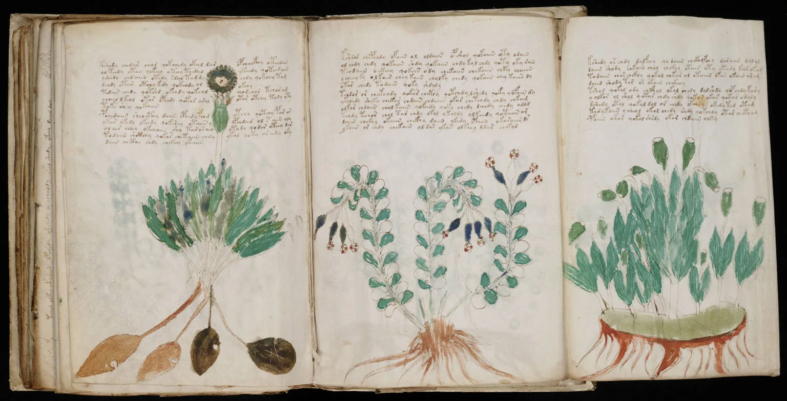 voynich_manuscript_170