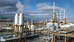 ما الهدف وراء توسيع النشاط البتروكيميائي الذي تبنته السعودية؟